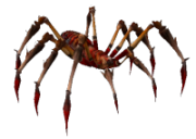 Kırmızı Kızgın Zehirli Örümcek.png