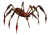 Kırmızı Kızgın Zehirli Örümcek.png